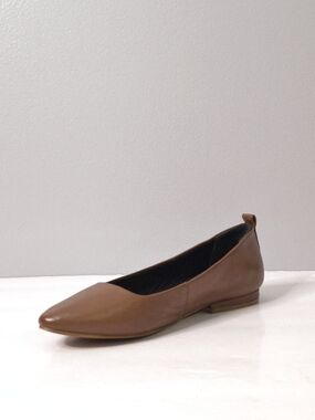 Roolee Brown Pointed-Toe Flats